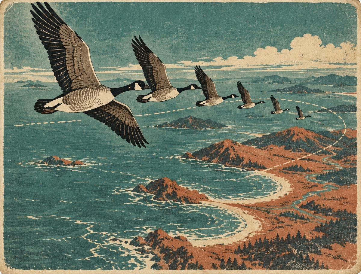 Migración